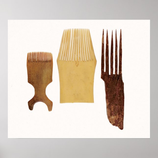 Inuit combs, from Northwest American coast Poster (Front)