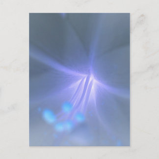 Invert Lily Postcard