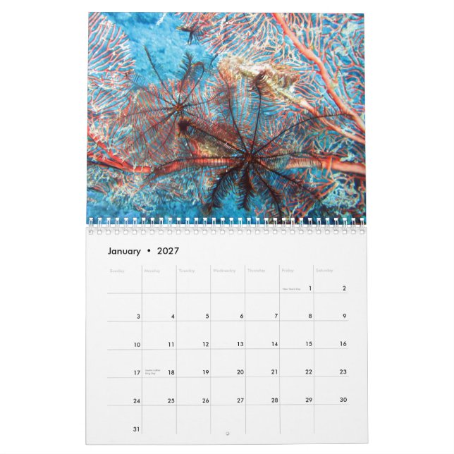 Invertebrates of Fiji 2015 Calender Calendar (Jan 2027)