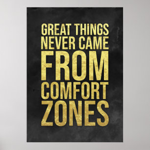 Investor Comfort Zones Poster