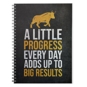 Investor Progress Big Results Notebook
