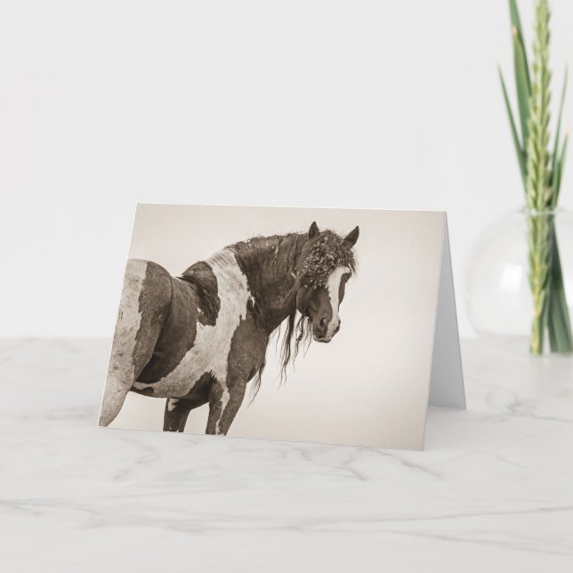 "Invincible" Note Card (Front)