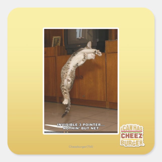Invisible 3 Pointer Square Sticker (Front)