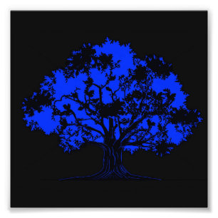 Invisible Oak Photo Print