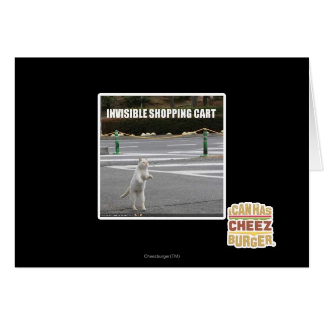 INVISIBLE SHOPPING CART (Front Horizontal)