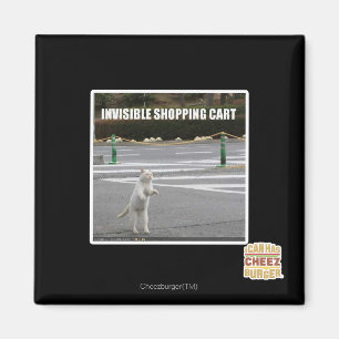 INVISIBLE SHOPPING CART MAGNET