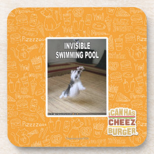 Invisible Swimming Pool Coaster
