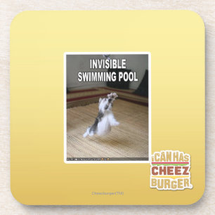 Invisible Swimming Pool Coaster