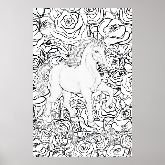 Invisible Unicorn Poster (Front)
