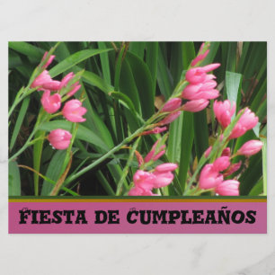 Invitación - Fiesta de Cumpleaños Invitation