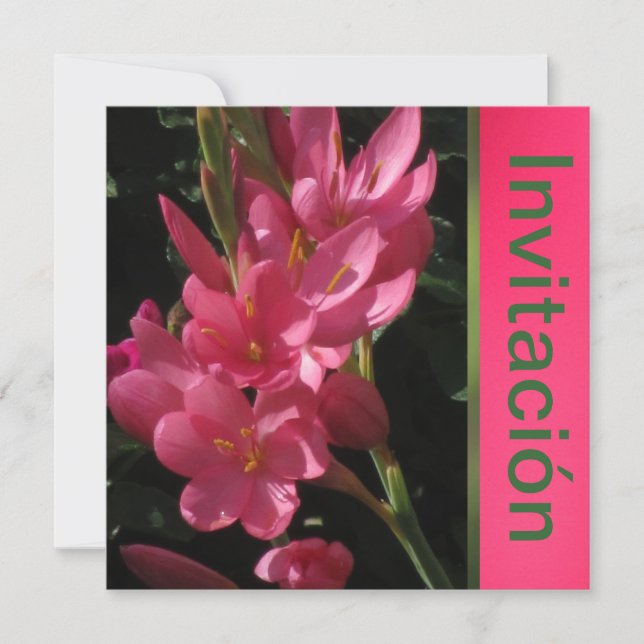 Invitación - Fiesta de Cumpleaños - Rosa Invitation (Front)