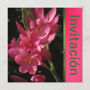 Invitación - Fiesta de Cumpleaños - Rosa Invitation