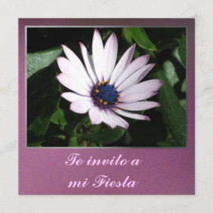 Invitación - Te invito a mi Fiesta - Margarita Invitation