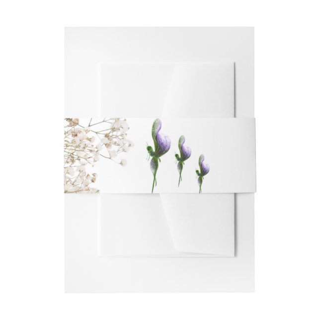 Invitation belly  invitation belly band (Front Example)