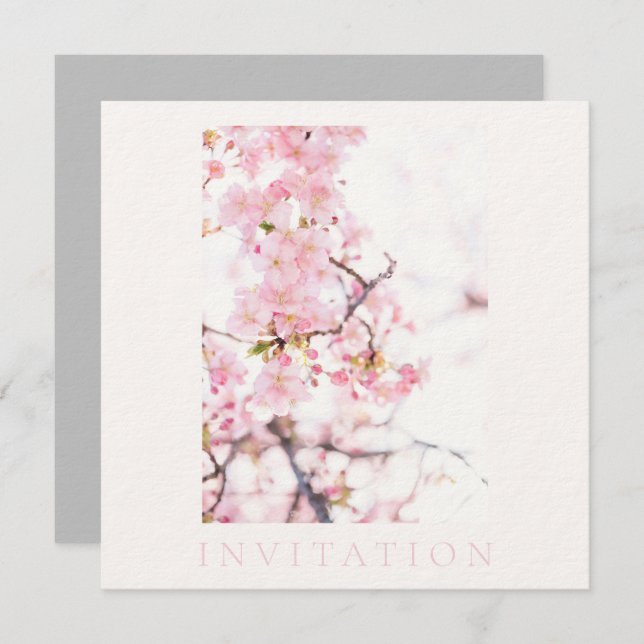 INVITATION : CHERRY BLOSSOM BRANCH (Front/Back)