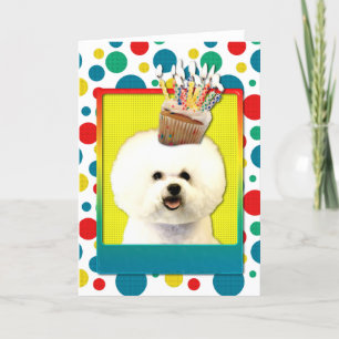 Invitation Cupcake - Bichon Frise