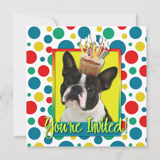 Invitation Cupcake - Boston Terrier (Front)