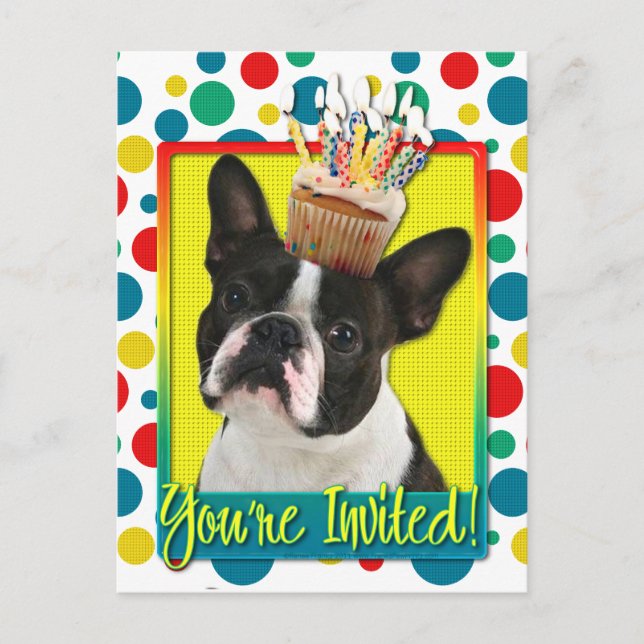 Invitation Cupcake - Boston Terrier Postcard (Front)