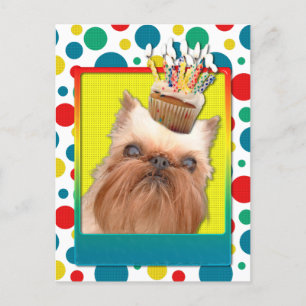 Invitation Cupcake - Brussels Griffon Postcard