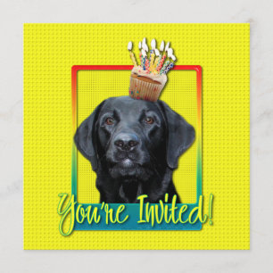 Invitation Cupcake - Labrador - Black - Gauge