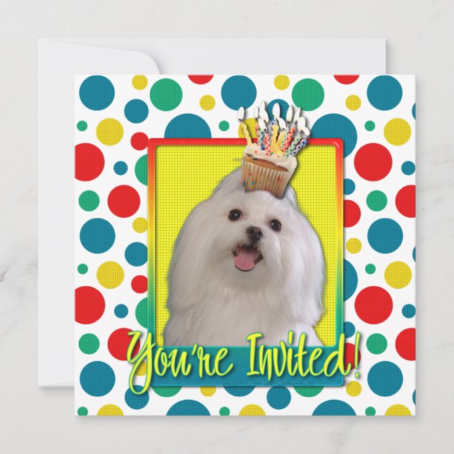 Invitation Cupcake - Maltese (Front)