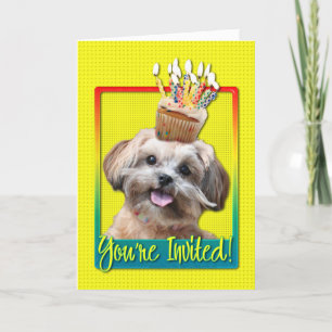 Invitation Cupcake - ShihPoo - Maggie