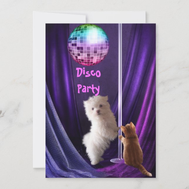 Invitation Disco Party Dog Cat Maltese Puppy (Front)