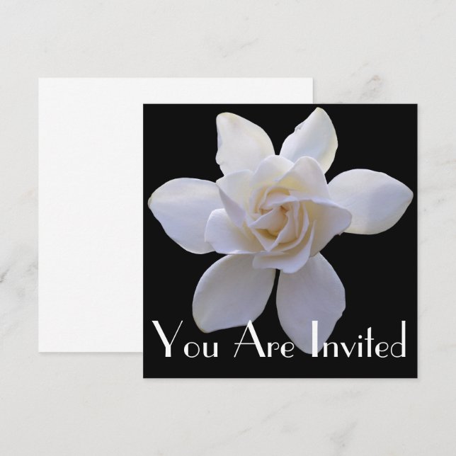 Invitation - Gardenia on Black (Front/Back)