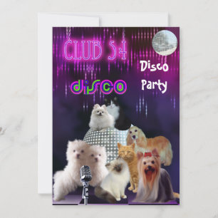Invitation Ladies Night Disco Party Dogs Cats