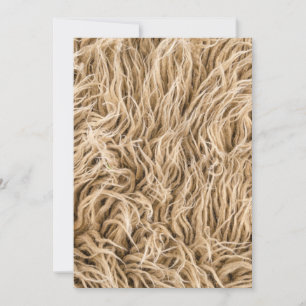 Invitation Postcard 5" x 7"