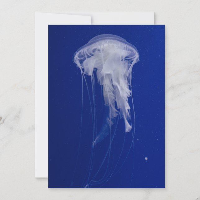 Invitation Postcard 5" x 7" (Front)