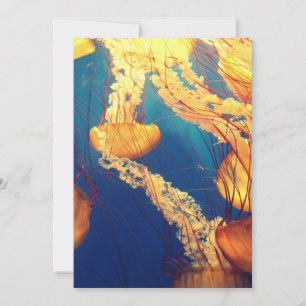 Invitation Postcard 5" x 7"