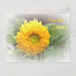 Invitation Sunflower Postcard