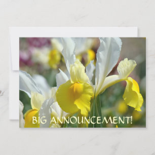 INVITATIONS Big Announcement! IRIS FLOWERS