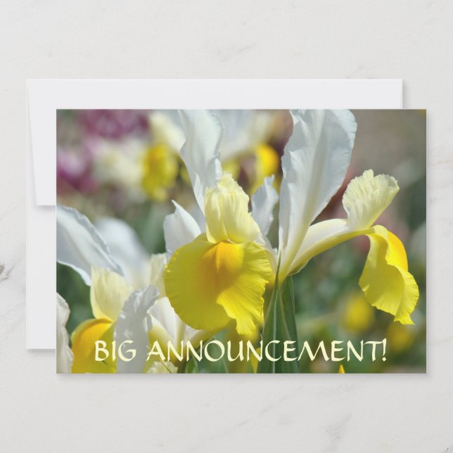 INVITATIONS Big Announcement! IRIS FLOWERS (Front)