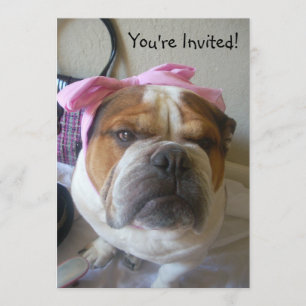 Invitations English Bulldog Birthday or any occas