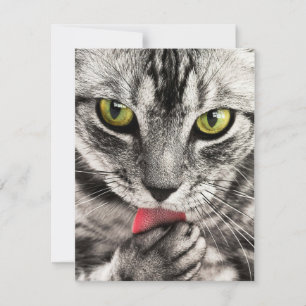 Invitations Stationery Greeting Cards Holida