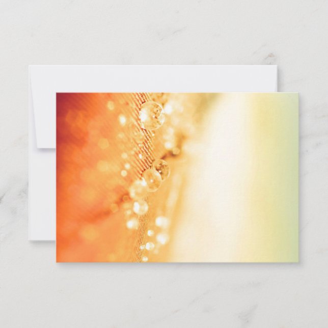 Invitations & Stationery RSVP Cards (Front)