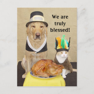 Invite a friend for Thanksgiving! Postcard