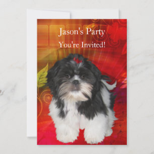 Invite Birthday Party Shih Tzu on Abstract Red