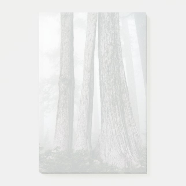 Invoking the Forest Post-it Notes (Front)