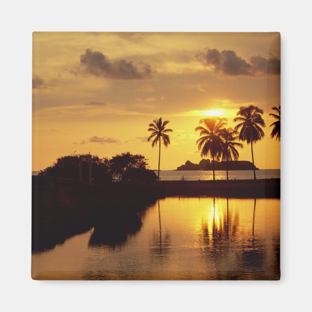 Inxtapa Sunset Magnet (Front)