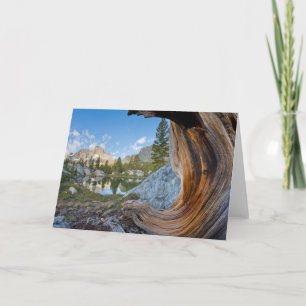 Inyo National Forest, California Card