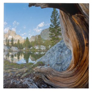 Inyo National Forest, California Ceramic Tile