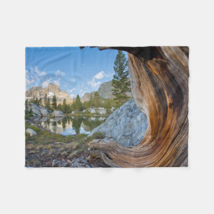 Inyo National Forest, California Fleece Blanket