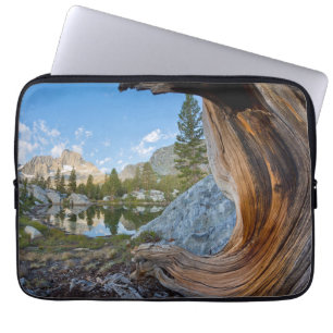 Inyo National Forest, California Laptop Sleeve