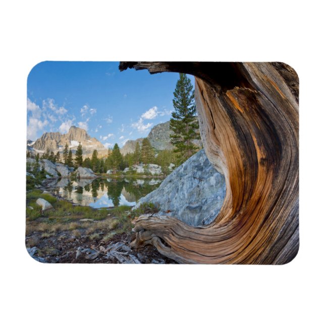 Inyo National Forest, California Magnet (Horizontal)