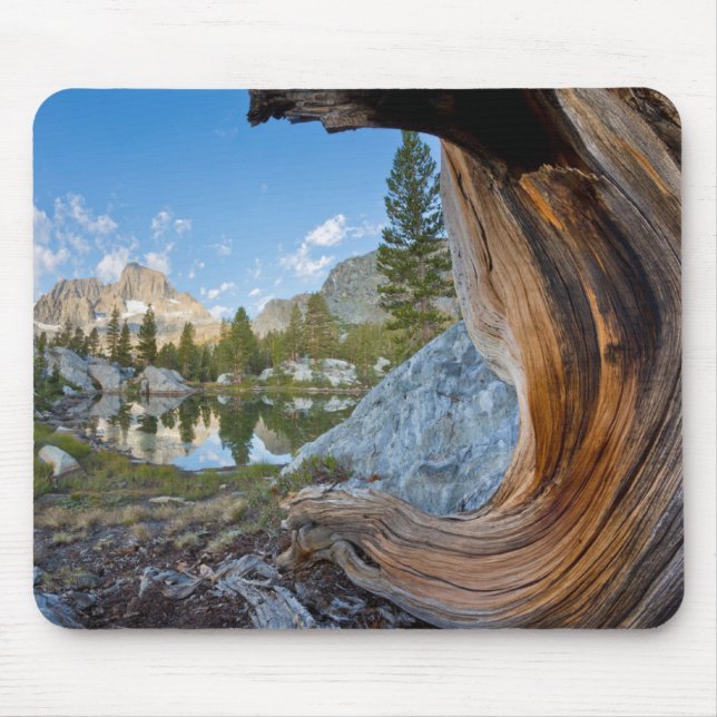 Inyo National Forest, California Mouse Pad (Front)
