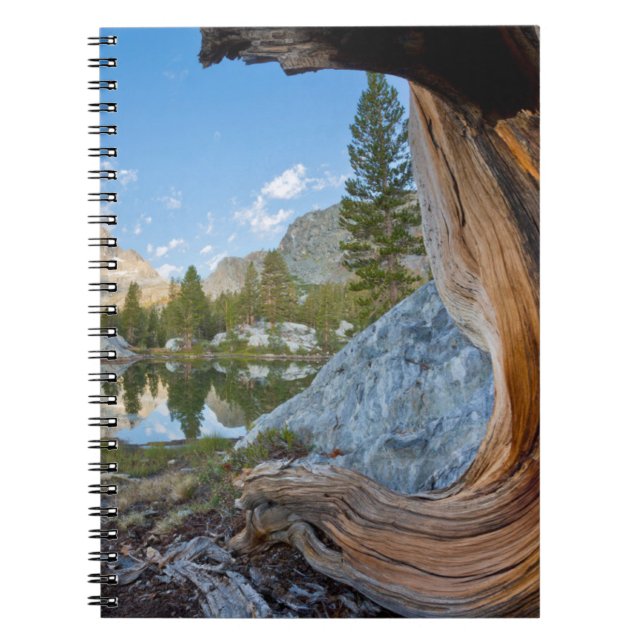 Inyo National Forest, California Notebook (Front)
