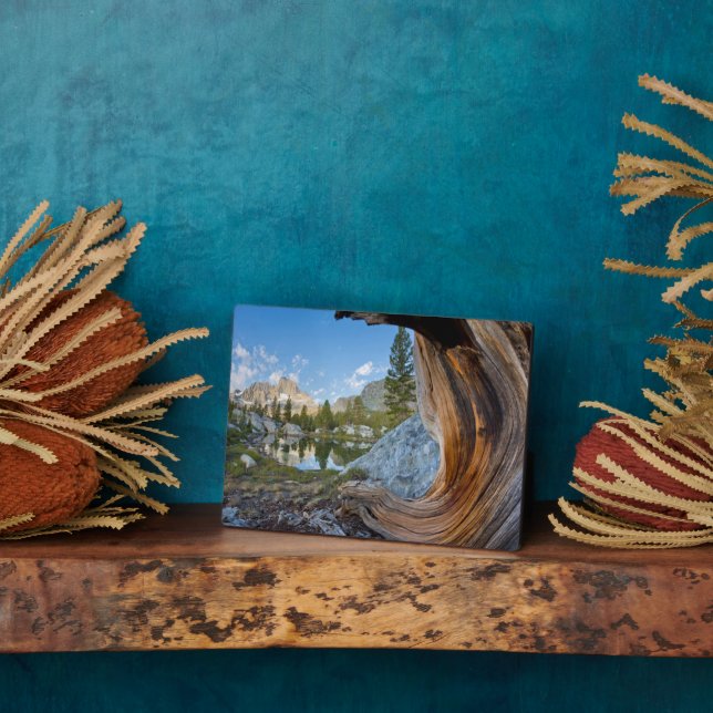 Inyo National Forest, California Plaque (Side)